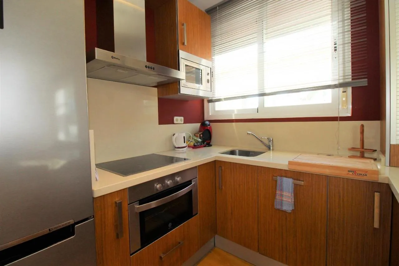 Apartment Suite Homes Atico Larios Malaga Spain